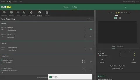 10 giros grátis bet365 